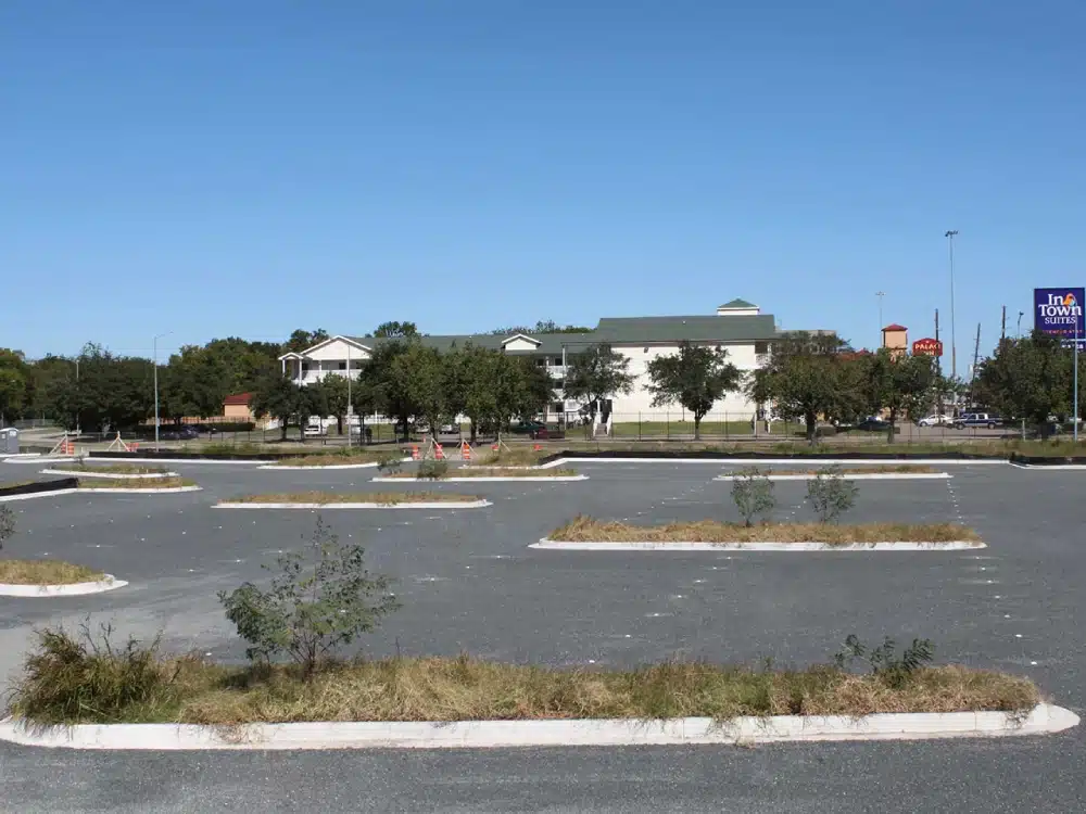 A parking lot with trees and buildings in the background.